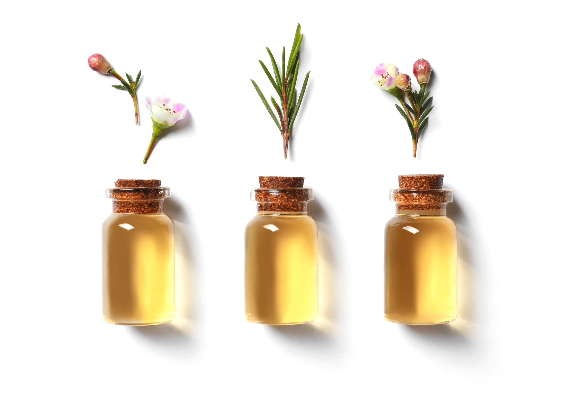 Flavor & Ingredient Concentration Systems | Porifera